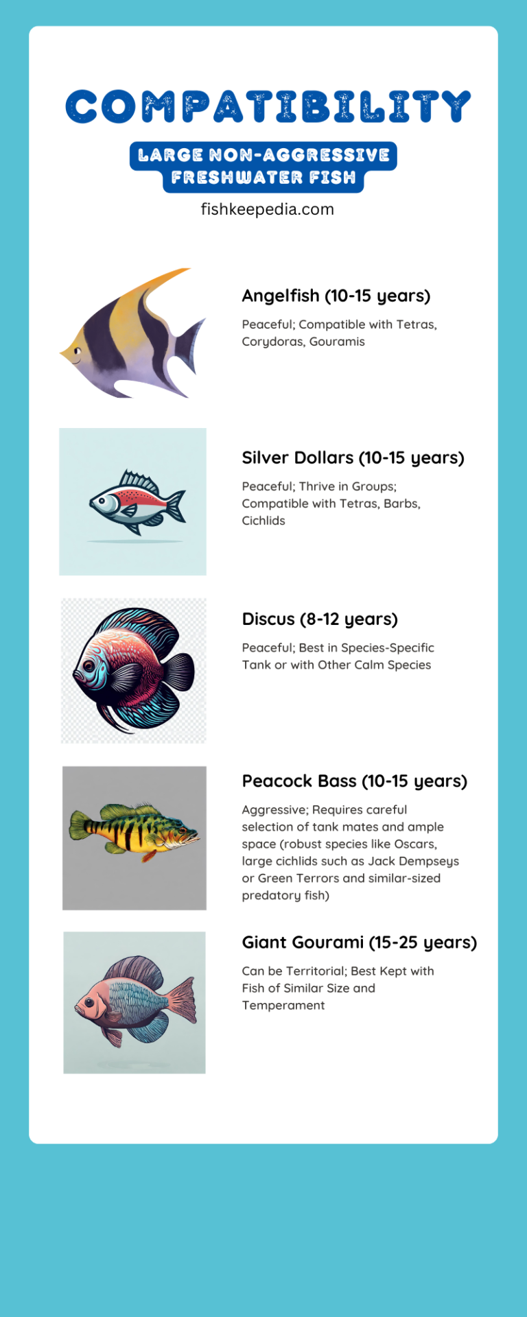 Best large non-aggressive freshwater fish (some live around 25 years ...